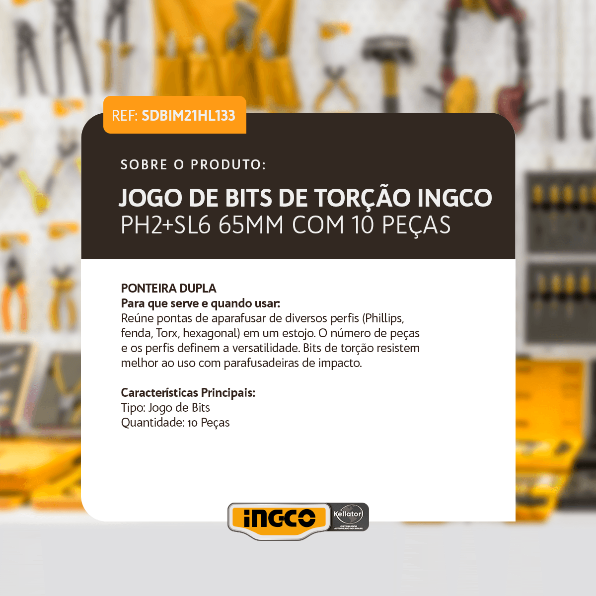 SDBIM21HL133_2