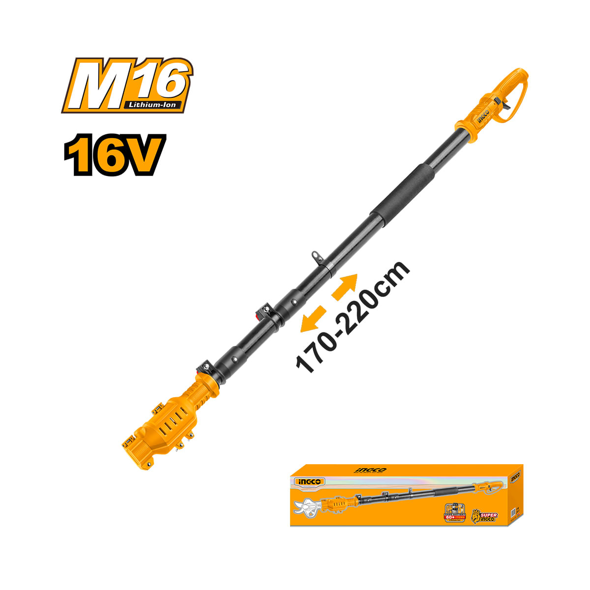 CERLI1658_1